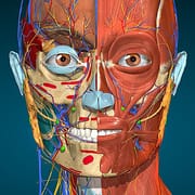 Anatomy Learning By Dr. Blanco
