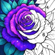Coloring Book