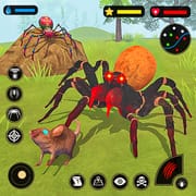 Spider Simulator