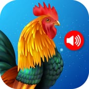 Animal Ringtones
