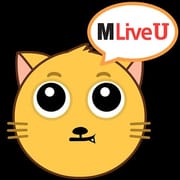 Zoom Workplace