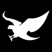 Shiekh Shoes: Shop Releases